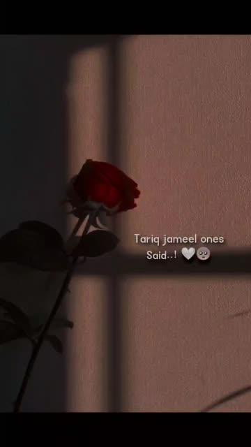 Preview for a Spotlight video that uses the FOLWR - Lens