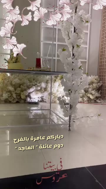 Preview for a Spotlight video that uses the fillters bride Lens