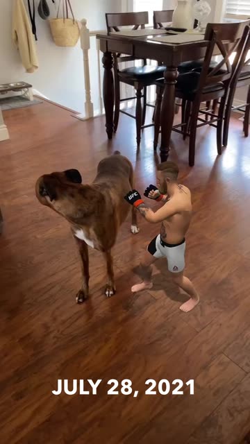 Preview for a Spotlight video that uses the AR McGregor Filter Lens