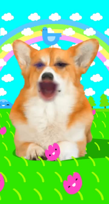Preview for a Spotlight video that uses the Corgi Lens
