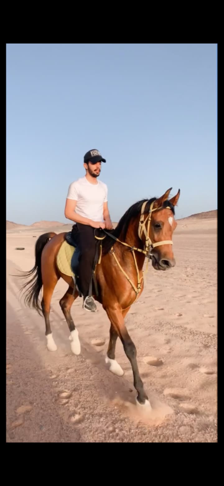 قصة سناب شات للحساب urzt1 رقم 36