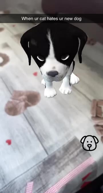 Preview for a Spotlight video that uses the Controllable Puppy Lens