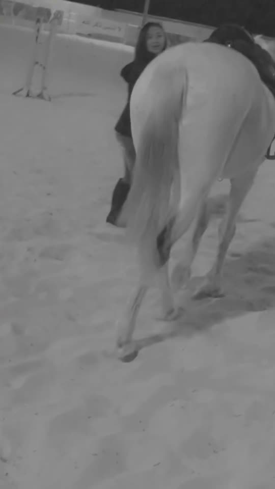 lailafarabi3