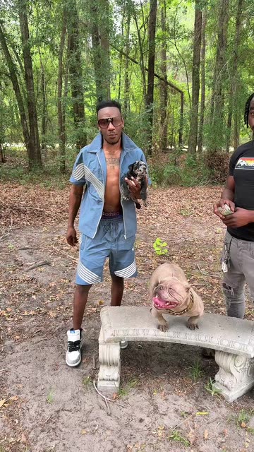 Dc Dog.gang