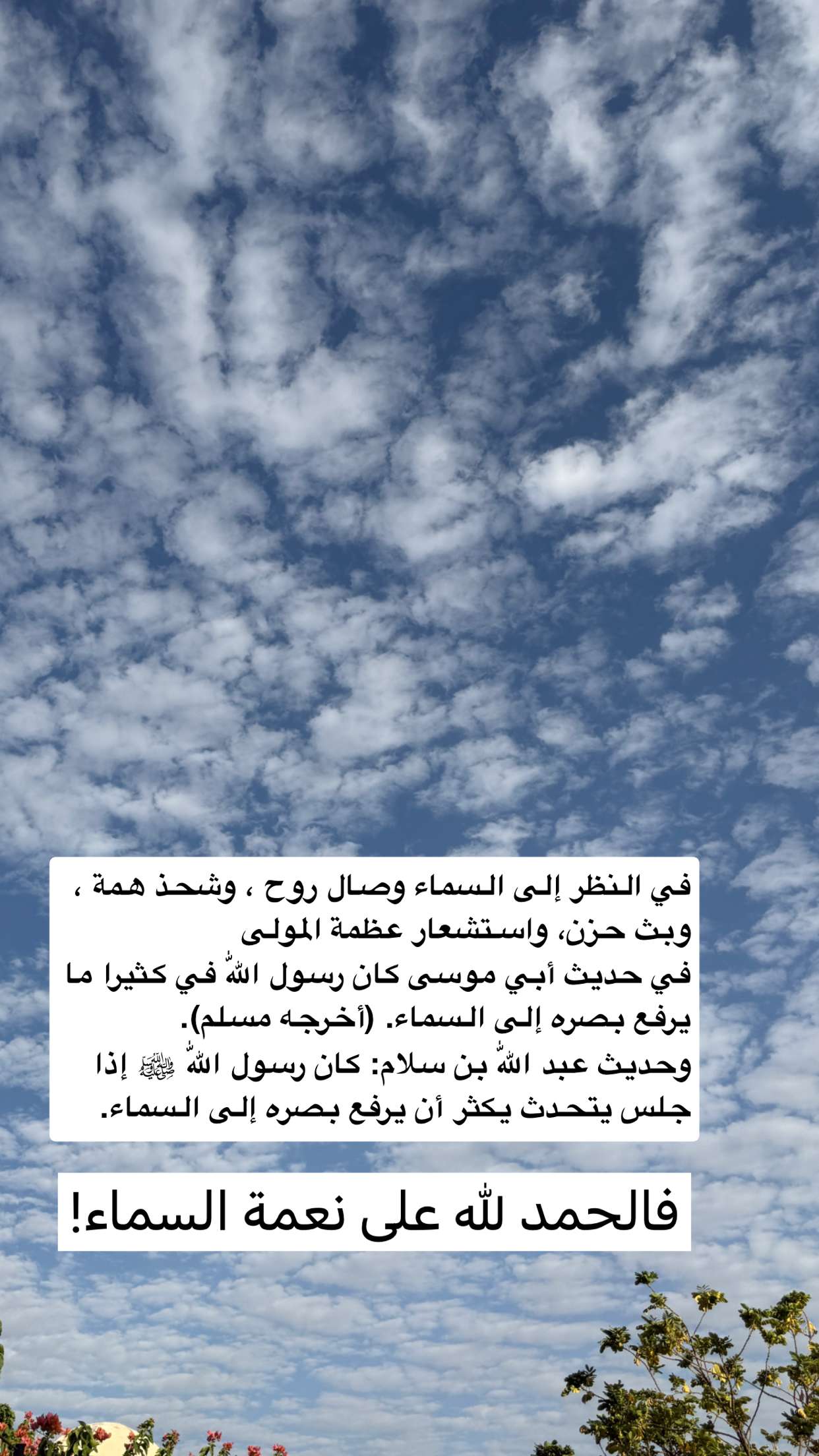 محتوى سناب شات لـ مها الصيخان 🍃☕️🎨