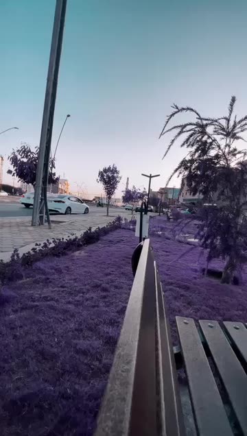 Preview for a Spotlight video that uses the LomoChrome Purple Lens