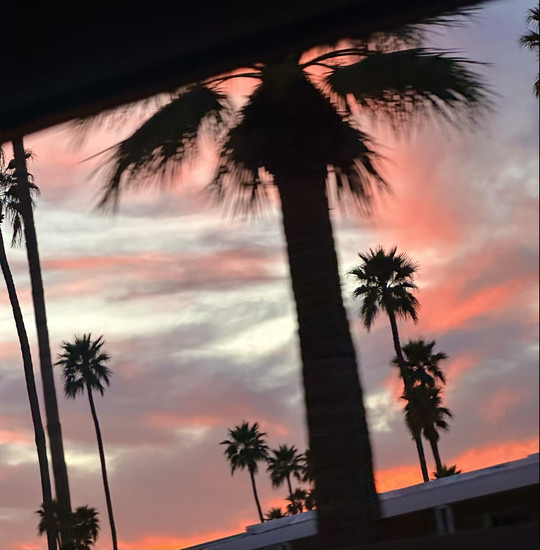 maddiidrew