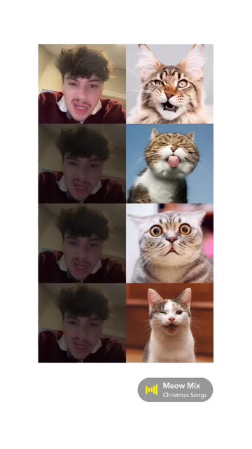 Preview for a Spotlight video that uses the Cat Match Lens