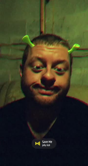 Preview for a Spotlight video that uses the Cute shrek face Lens