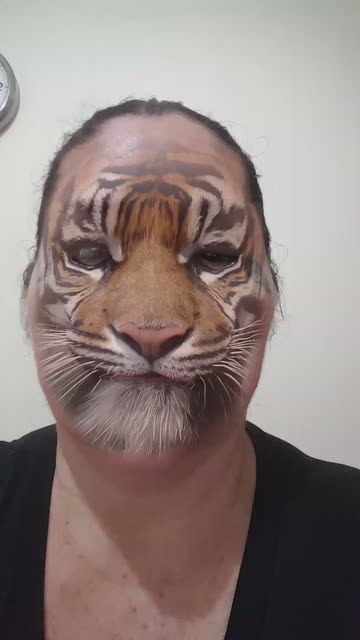 Preview for a Spotlight video that uses the Tiger Lens