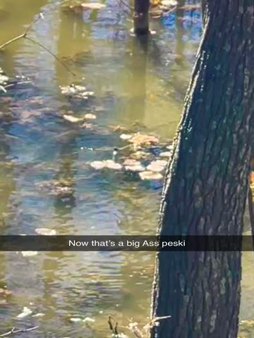 Spotlight content by a Snapchat user
