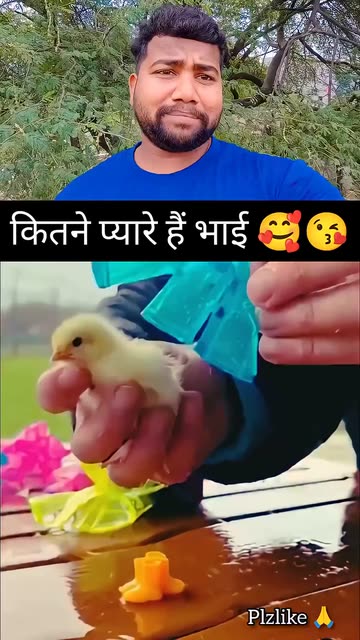 Chappu Videos