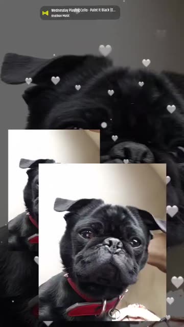 Preview for a Spotlight video that uses the Lovers Pic Edit OP Lens