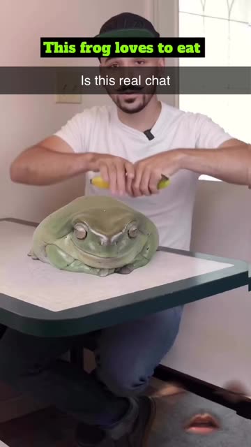 Spotlight content by a Snapchat user