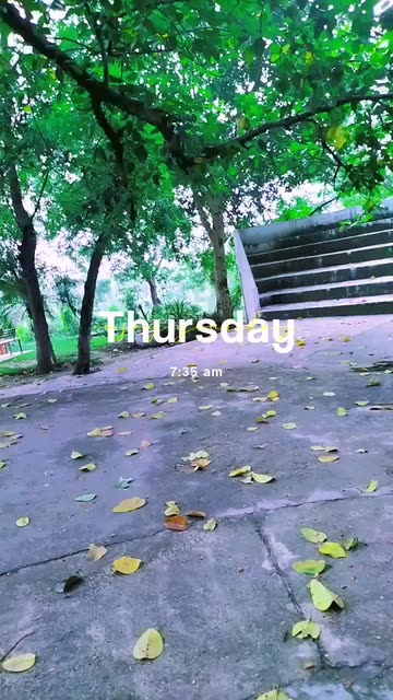 Preview for a Spotlight video that uses the Enjoy Day Lens