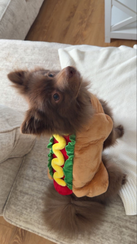 nyellie129