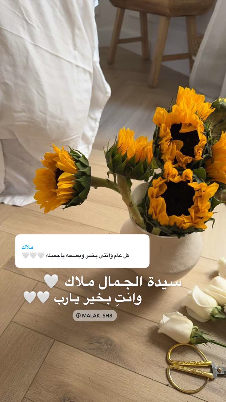 محتوى سناب شات لـ Shmowkh 🍃🎼🐺