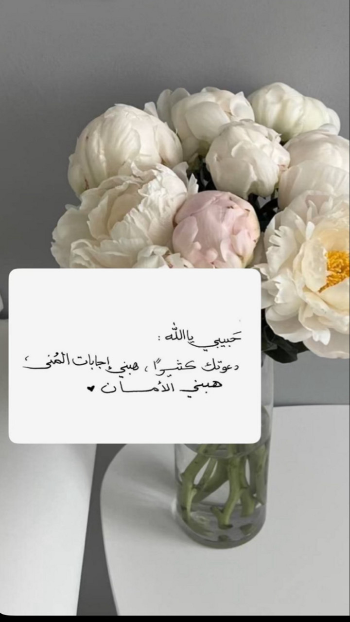 محتوى سناب شات لـ ﮼نُ