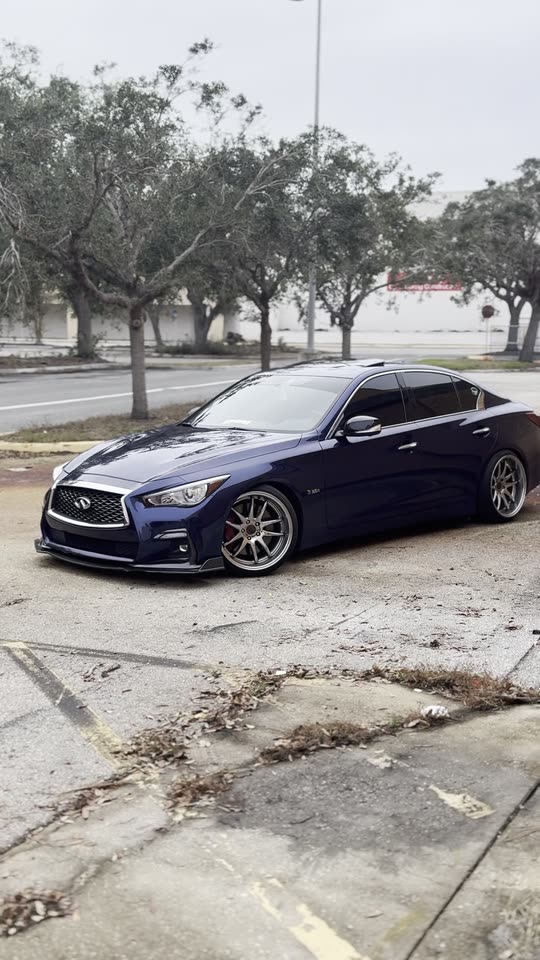 q50.steven