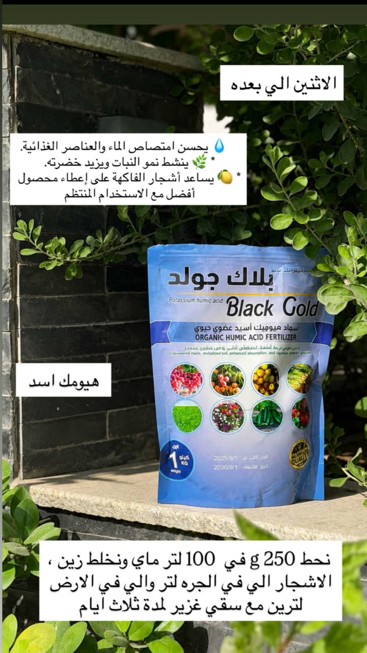 محتوى سناب شات لـ عفرا السويدي 🦋