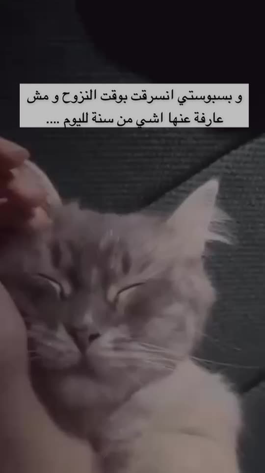 deema_jayab