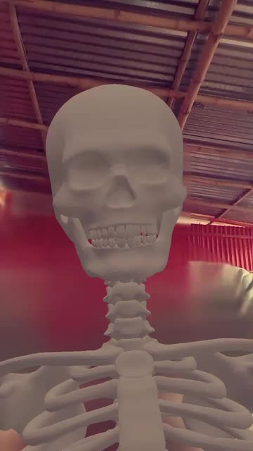 Preview for a Spotlight video that uses the Skeleton Body Lens