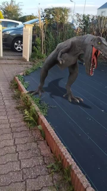 Preview for a Spotlight video that uses the TREX Lens