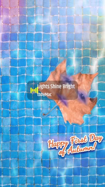 Preview for a Spotlight video that uses the First Day of Fall Lens