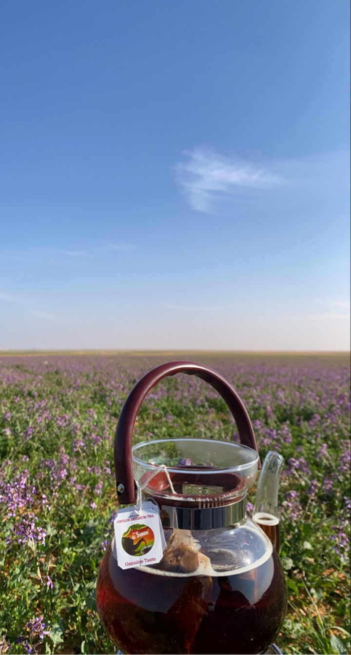محتوى سناب شات لـ مـحمـد آل غلفيـص