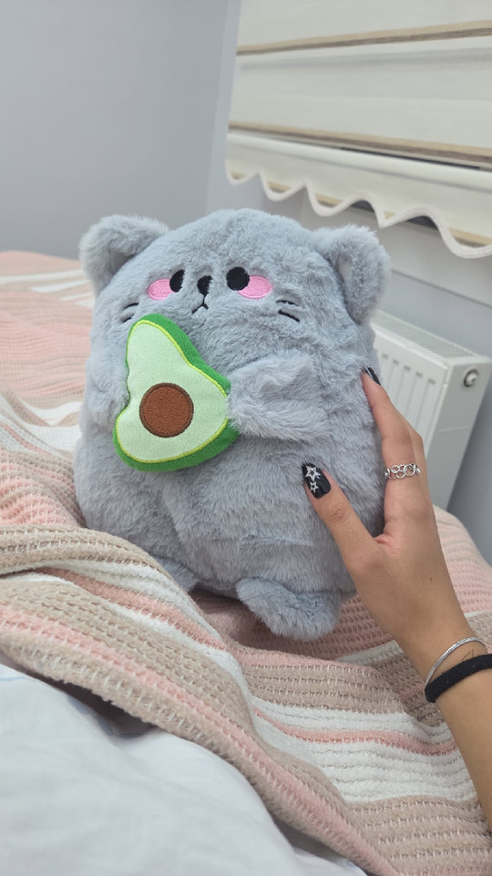 ebrxly