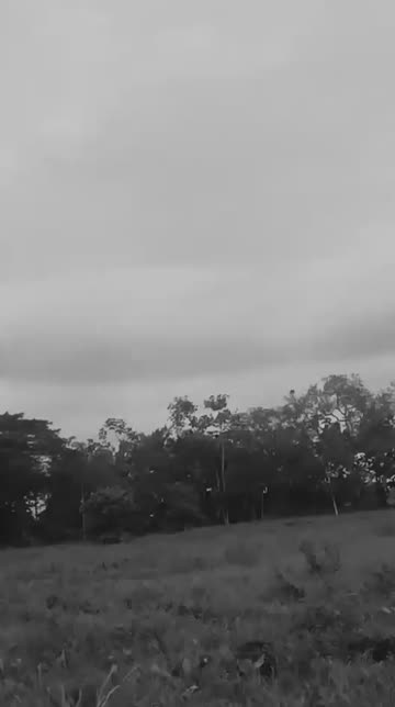 Preview for a Spotlight video that uses the BW Killer Look Lens