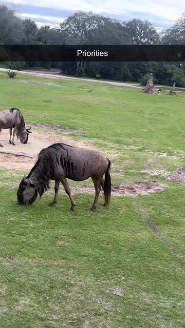 Daniel Mac