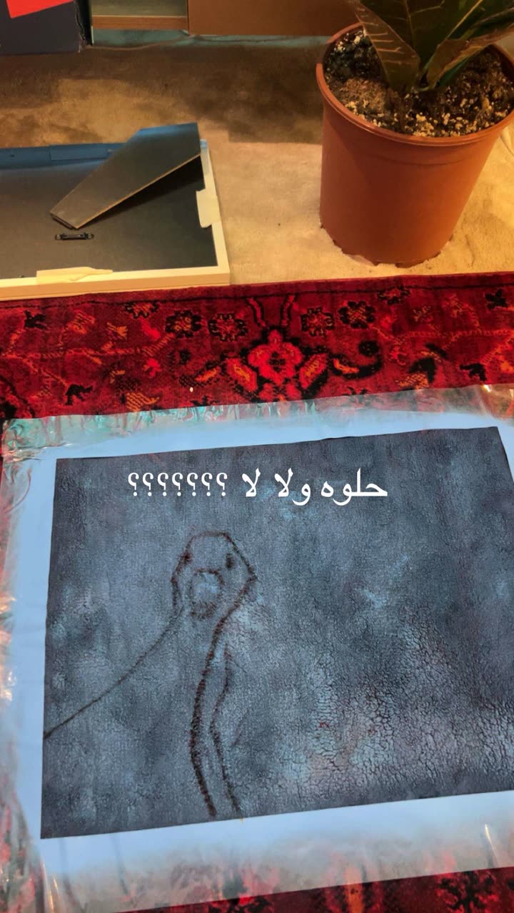 قصة سناب شات للحساب mm.ag رقم 411