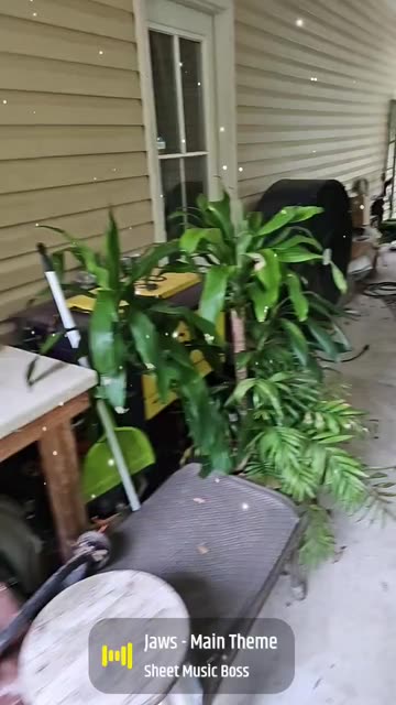 Preview for a Spotlight video that uses the Rer1 Lens