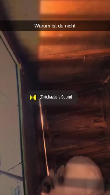Preview for a Spotlight video that uses the Golden Hour Lens