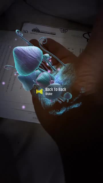 Preview for a Spotlight video that uses the Little Garden Lens
