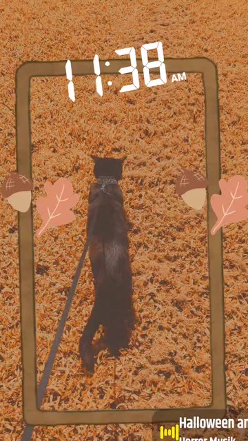 Preview for a Spotlight video that uses the Golden Hour JS Lens