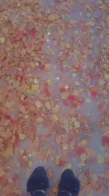 Preview for a Spotlight video that uses the Full of Stars Lens