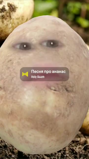 Preview for a Spotlight video that uses the potatoes Lens