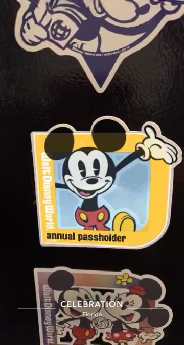 Preview for a Spotlight video that uses the Mickey Magnet Lens