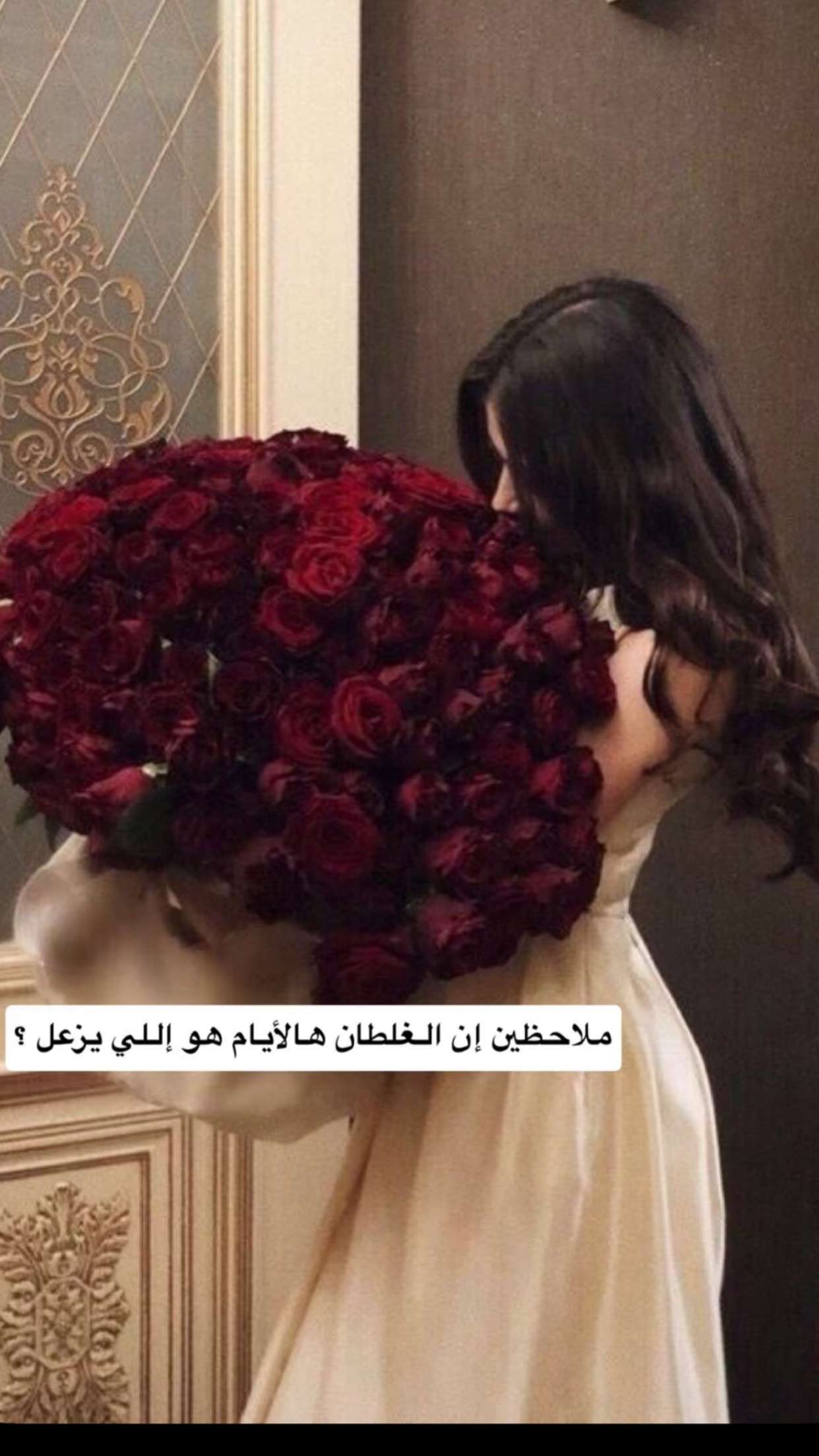 محتوى سناب شات لـ بِيــــــberaــــــراْ🏹