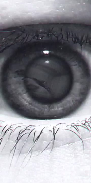 Preview for a Spotlight video that uses the Reflection Lens