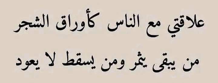 محتوى سناب شات لـ ركن الاشقر