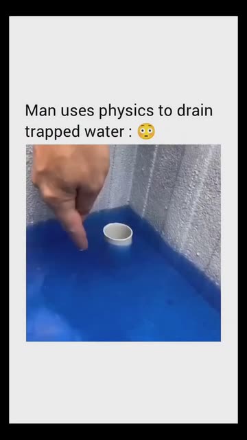 Fact Mint