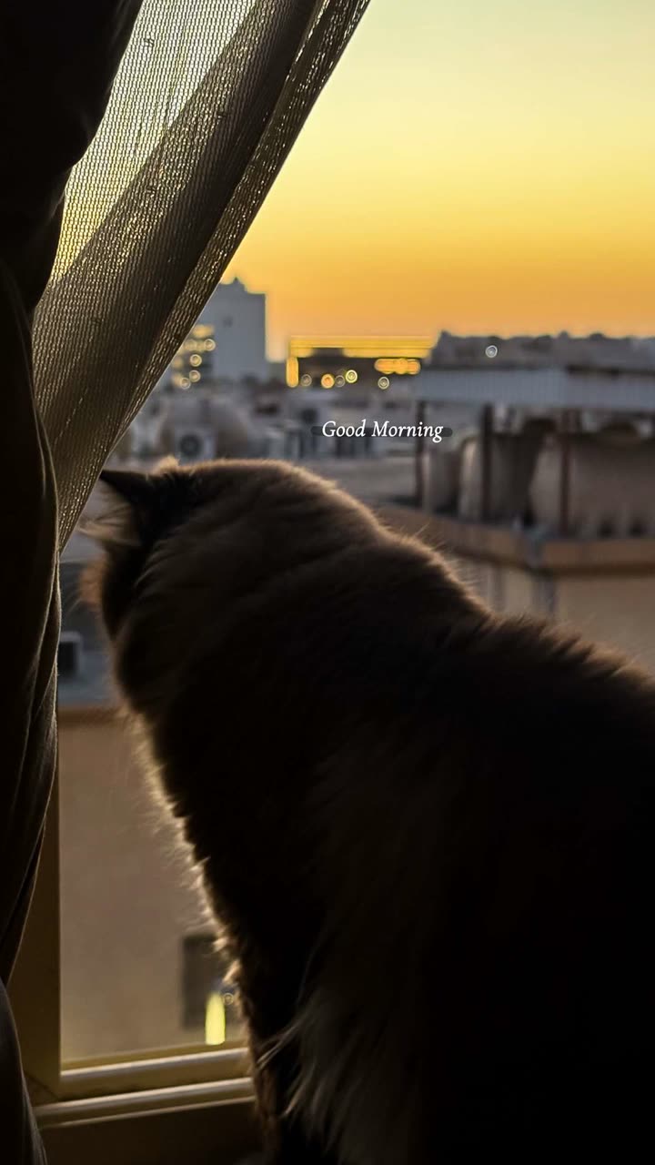 محتوى سناب شات لـ مروه علي∥ Marwaali