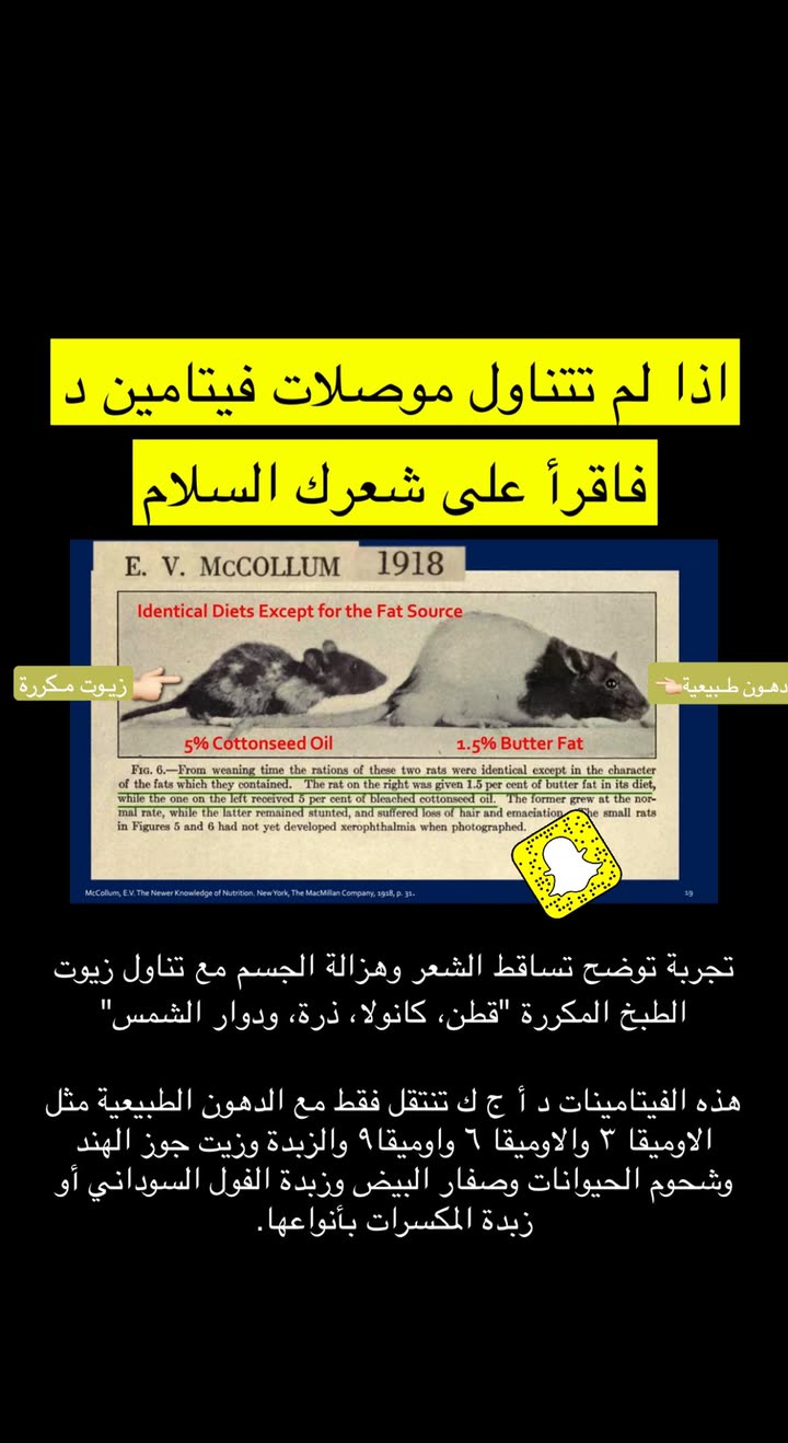 محتوى سناب شات لـ عمار العمار “DietsWiki"