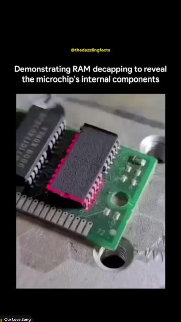 Thedazzlingfacts