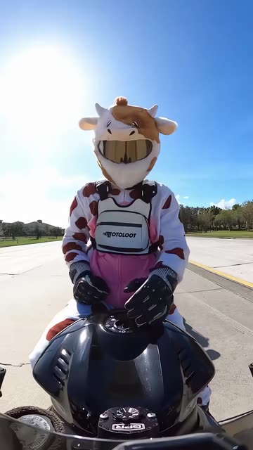 cow motorcycle helmet Scorpion EXO Covert FX Concrete Cowboys Full Face complete with small horns and a relaxed expression Makamsui Motorcycle Helmets Devil Horn