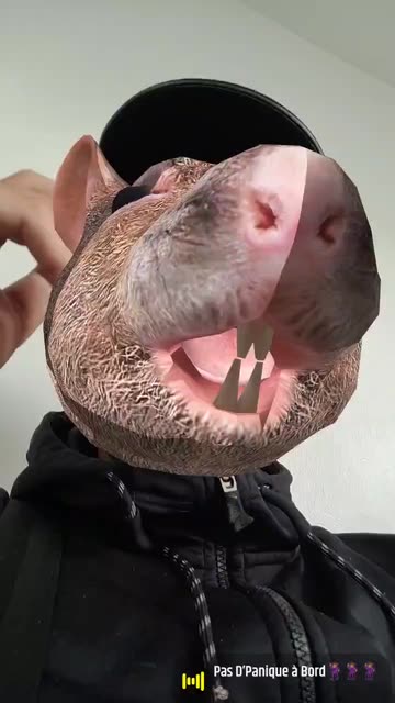 Preview for a Spotlight video that uses the Rat Head Lens