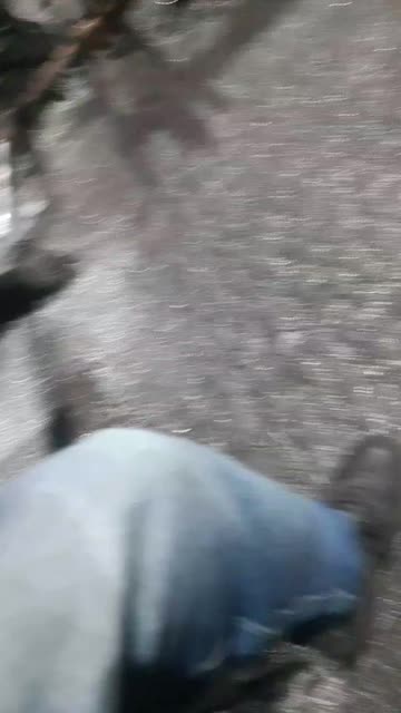 Preview for a Spotlight video that uses the Building43 Lens